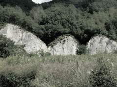 도화각시전 四十話