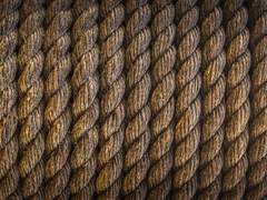 Ilian Maurice Richard