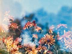 왜 우리는 영원토록 영원을 품을 수 없었는가