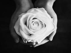 그 임무에 관한 기록