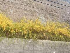 [국민]산들바람