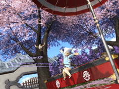 시로가네 개인집