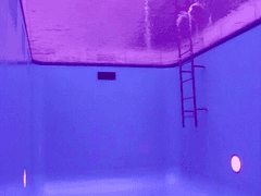 [쿤밤] trapped dogma