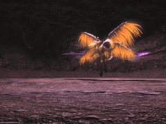 에우레카 : 아네모스 파주주