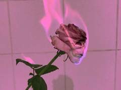 선결혼 후연애 08