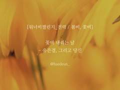 꽃비 내리는 날