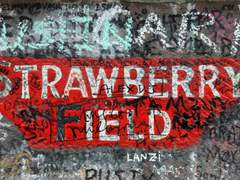 딸기밭에서 기다려~ 기다려! 中