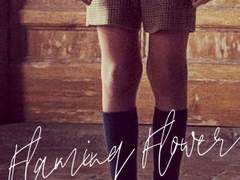 해리포터_불타는 꽃(Flaming Flower) 1