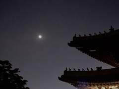 [달국여난] 夢中相尋