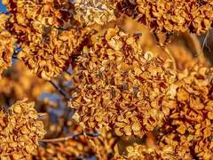 사랑하는 것들에게로의 여행