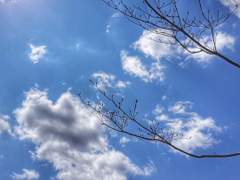 환영합니다:방문자께 올리는 글