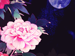 [파판14드림] 바람의 인사