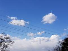 [천지해/시화노을]잘가요