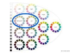 샘 오취리 퍼스널 컬러 분석