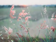 사랑 받는 아이 1