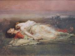 [마타나입] Via Dolorosa