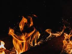 이화룡적애정사 三