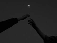 메리고라운드 드림