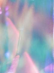 [히나른/배신물] 기억해줘, 평생