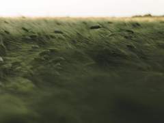 [토니피터] 제 3자의 관점 1