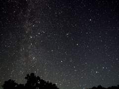 [유가코코] Please love me.