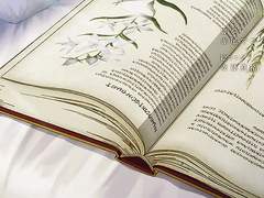 오래된 종이의 향