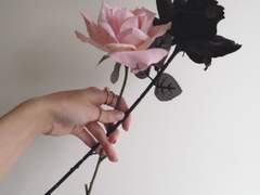 이별의 온도는 38.5도