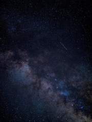 별이 떨어지던 날에