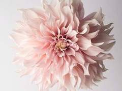 [히나른/배신물] 3. 반짝반짝한 것