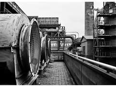 모든 것을 앗아가기 위해 저를 구원하셨나이까.