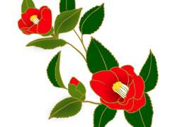 수목장[樹木葬] - 남망기 ver