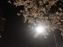 부재중 러브레터 - 氷 (1)