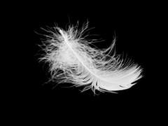 [엠마리지] 자유