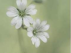 [히나른/배신물] 4. 원하는게 뭐야