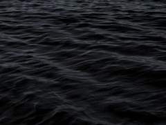 나의 절망을 바라는 너에게