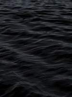 내가 키운 S급들