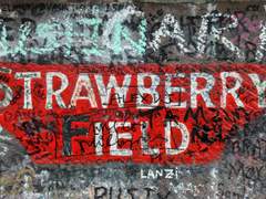 딸기밭에서 기다려~ 기다려! 下