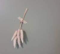 [태성현우] 시간을 달려서