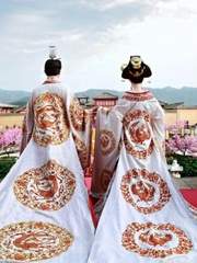 망비지화 忘妃之話