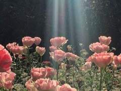 [히나른/배신물] 5. 발톱날을 세우며