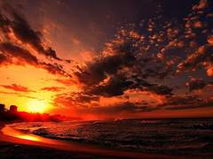 [서 태극/M/3학년]