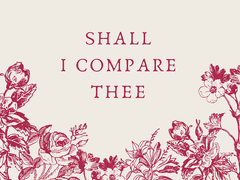 멜키레이 | English Rose