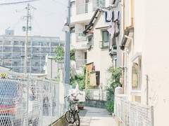 [세준]불X(...) 친구 下