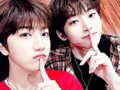 크래비티 우정 프로필