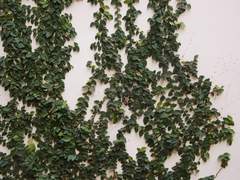 [토니피터] 제 3자의 관점 2