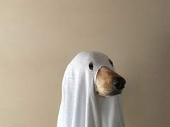 [시원누리] 계획된 이상한 첫만남 (1)