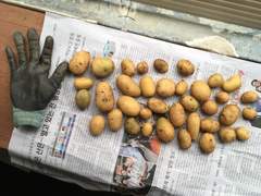 1. 언제까지 농사가 짓고 싶을까요