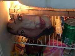 데가 트위터 짧썰 백업 22