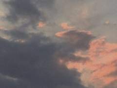 [ 천사 / 파르바나 ]