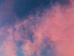 열병의 데칼코마니下